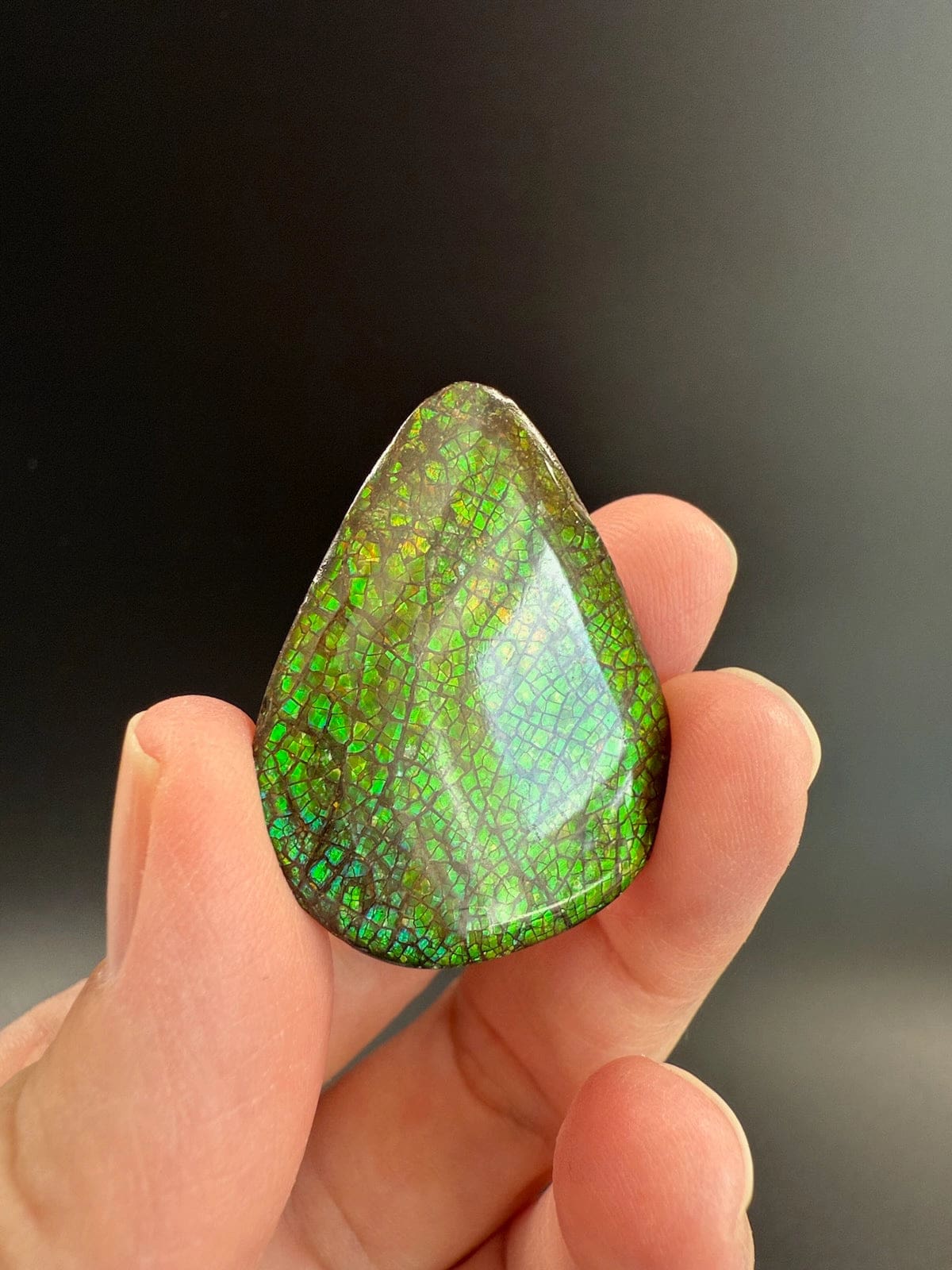 Ammolite Pear