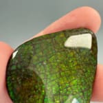 Ammolite Pear