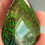 Ammolite Pear
