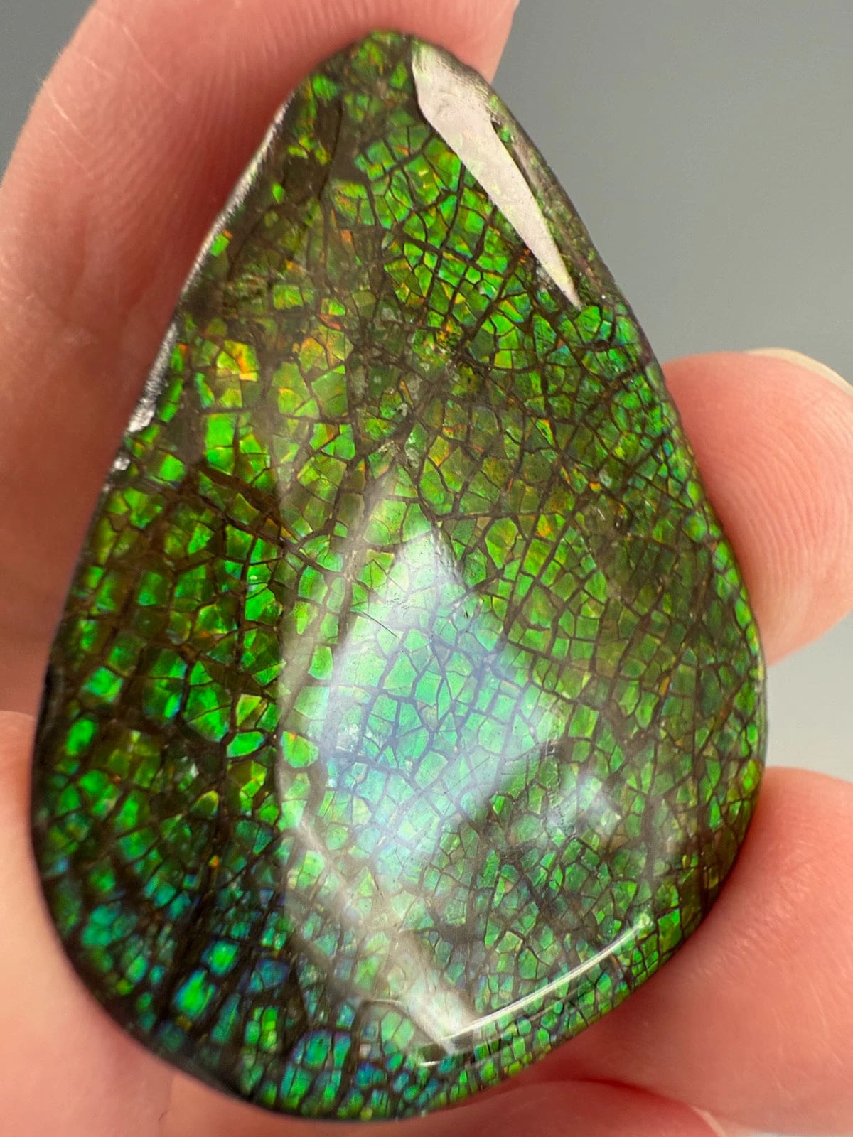 Ammolite Pear