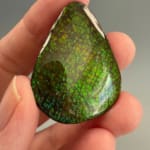 Ammolite Pear