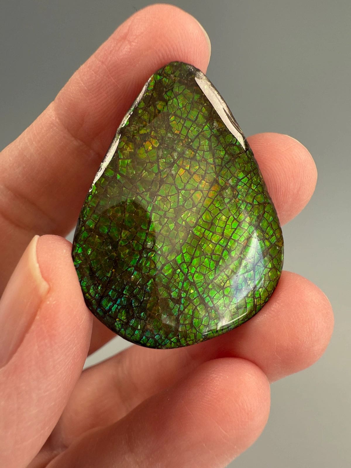 Ammolite Pear