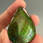 Ammolite Pear