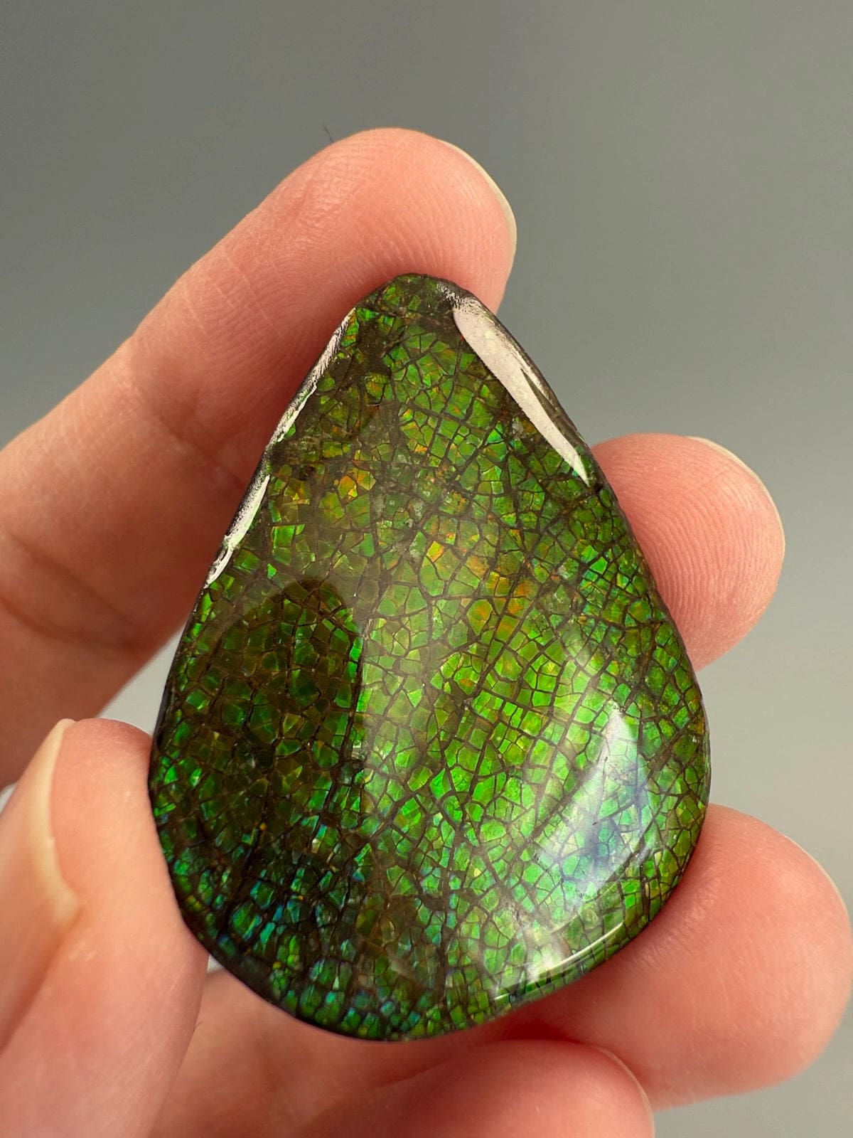 Ammolite Pear