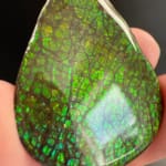 Ammolite Pear