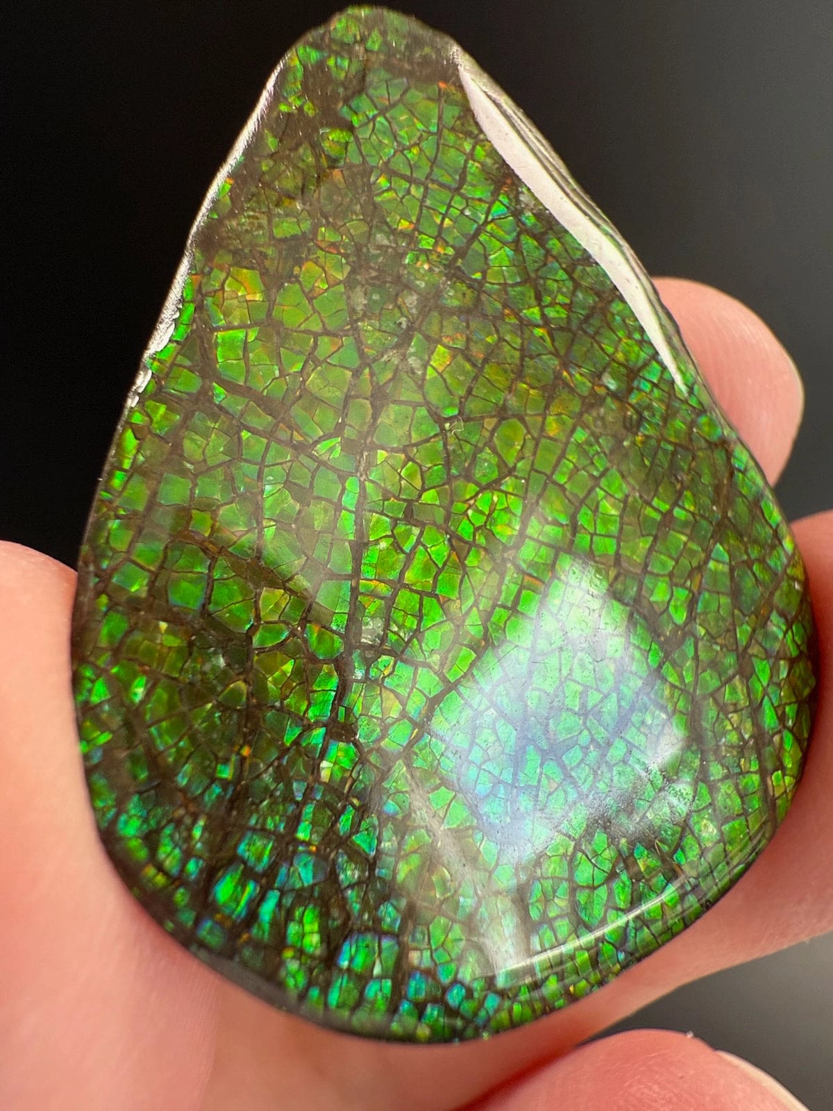 Ammolite Pear