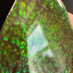 Ammolite Pear