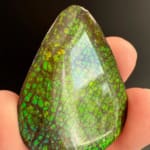 Ammolite Pear