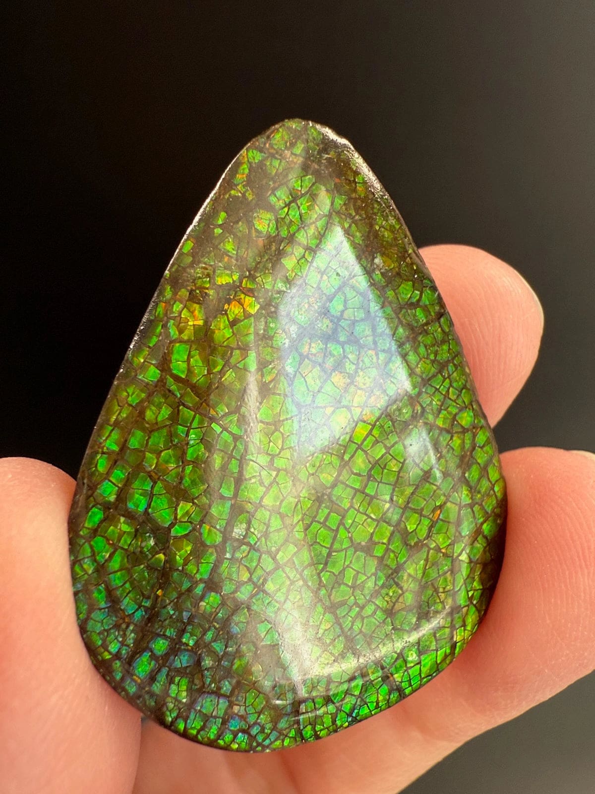 Ammolite Pear
