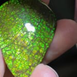 Ammolite Pear