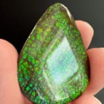 Ammolite Pear