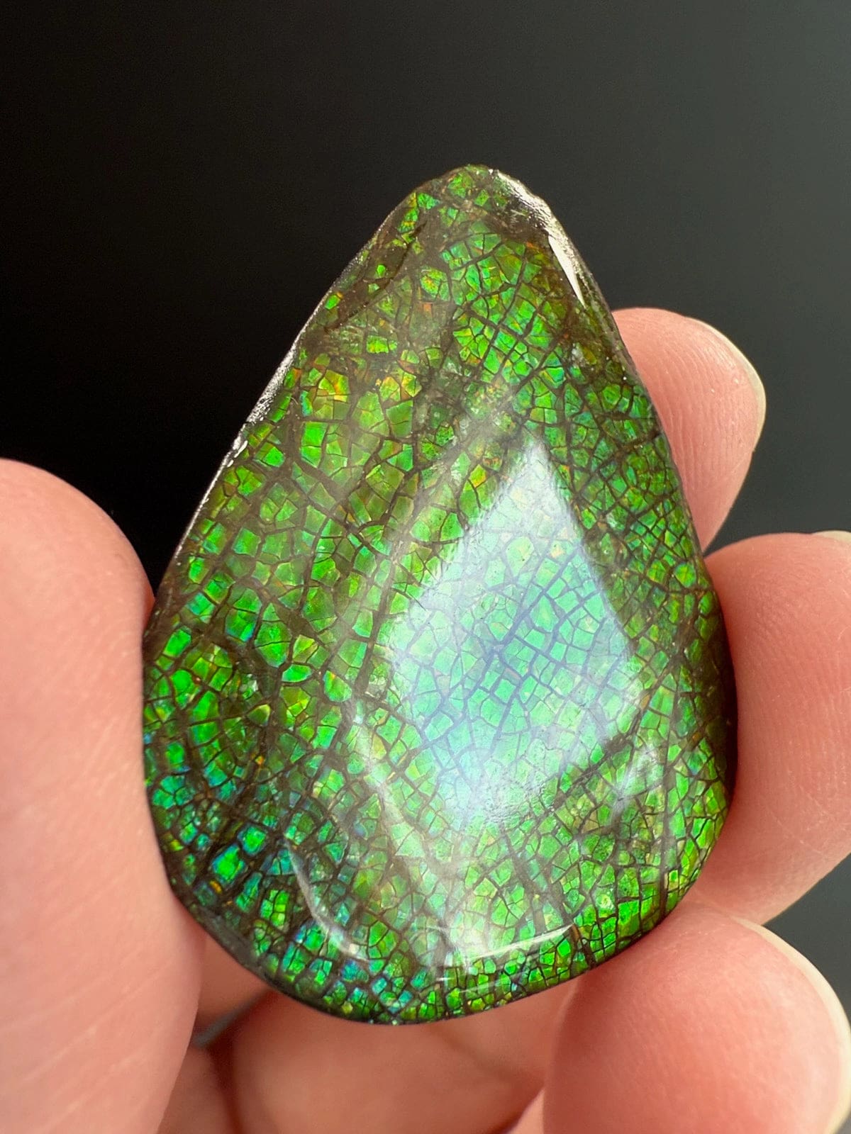 Ammolite Pear