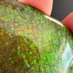 Ammolite Pear