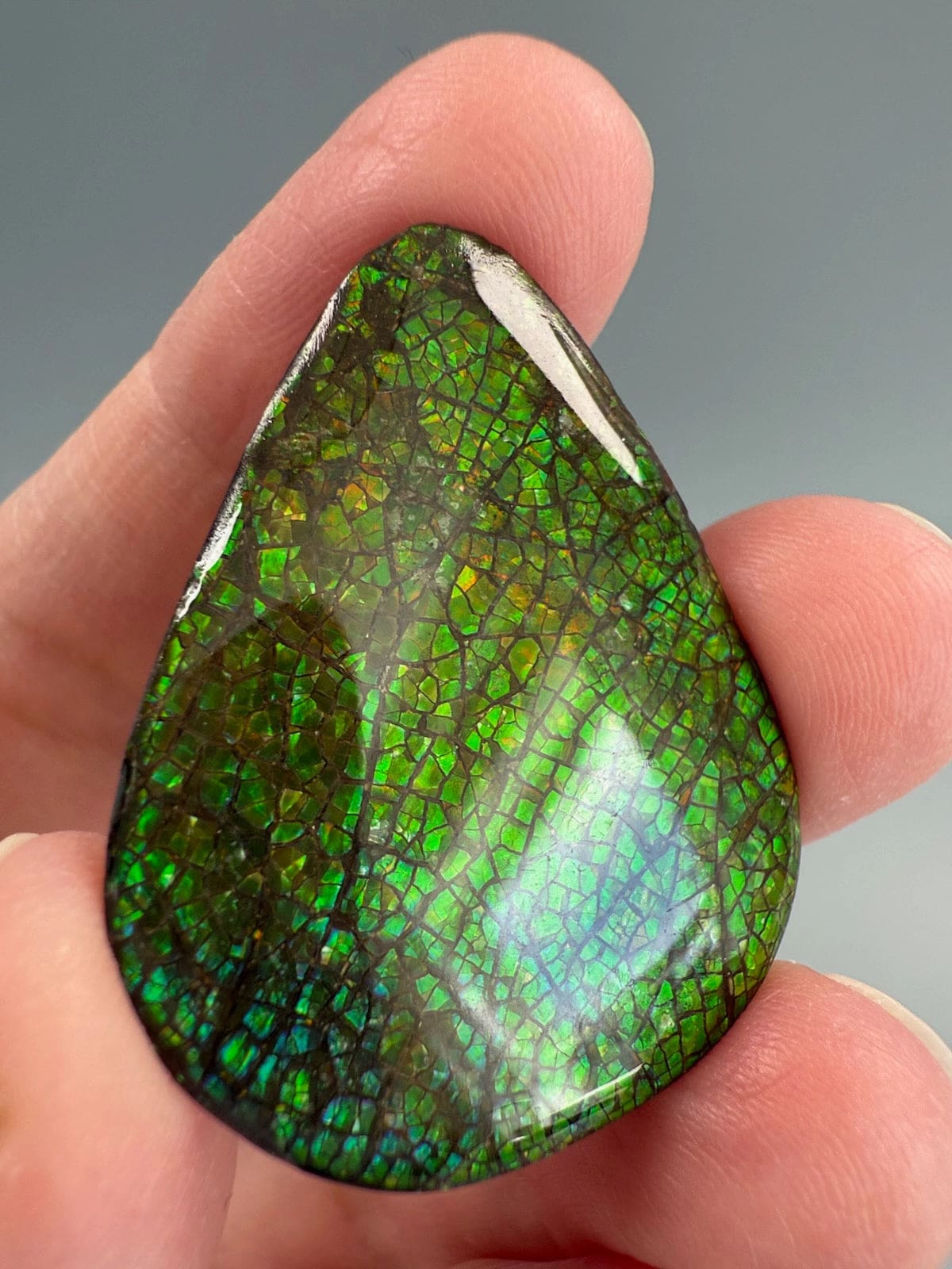 Ammolite Pear
