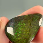 Ammolite Pear