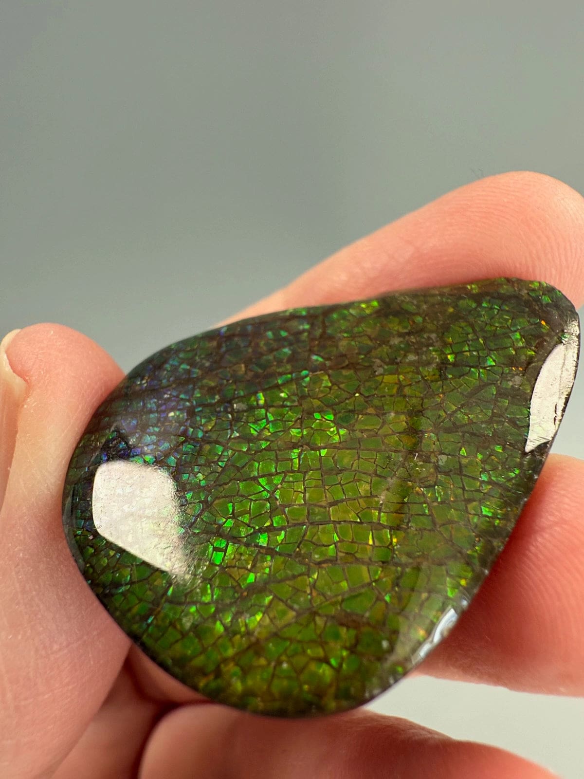 Ammolite Pear