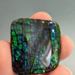 Ammolite Square