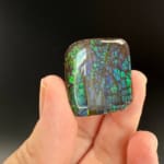 Ammolite Square