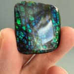 Ammolite Square