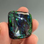 Ammolite Square