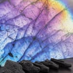 Black Tourmaline Dragons Collection