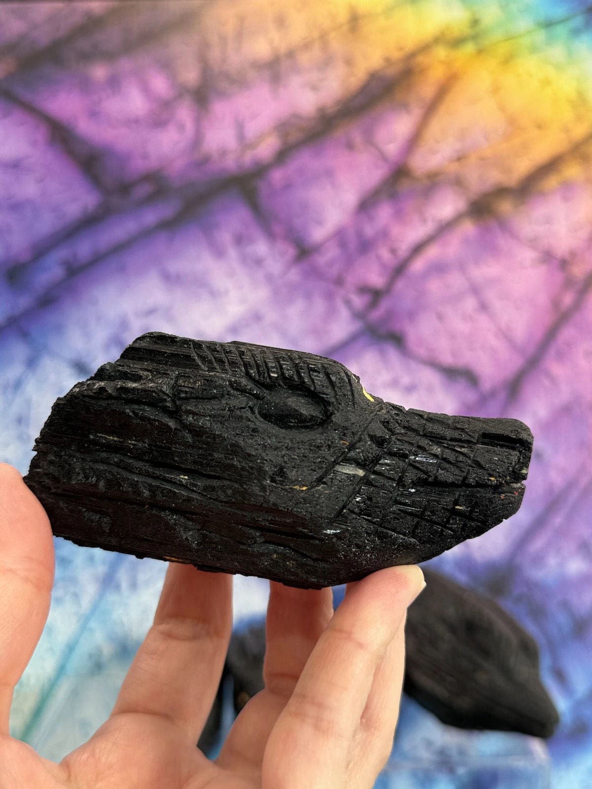 Black Tourmaline Dragons Collection