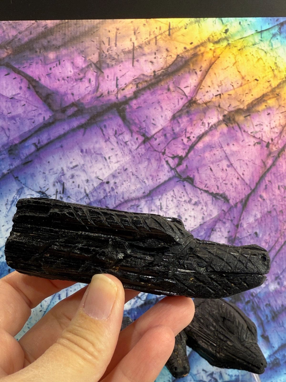 Black Tourmaline Dragons Collection