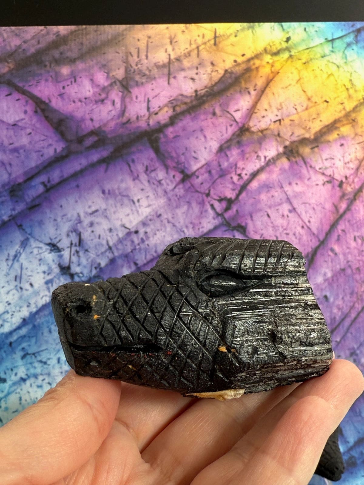 Black Tourmaline Dragons Collection