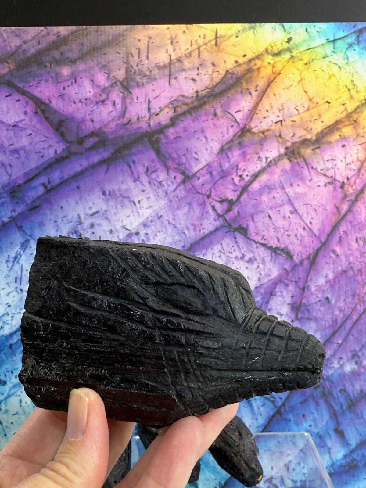 Black Tourmaline Dragons Collection