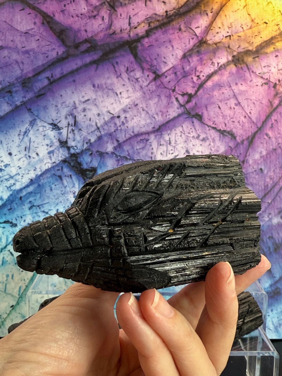Black Tourmaline Dragons Collection