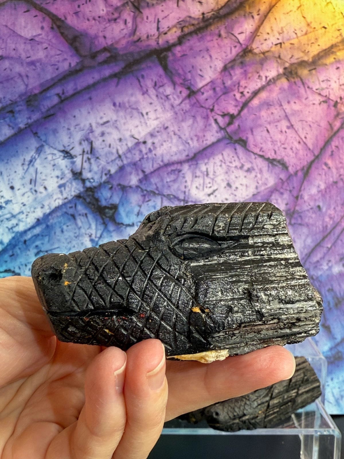 Black Tourmaline Dragons Collection