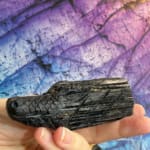 Black Tourmaline Dragons Collection