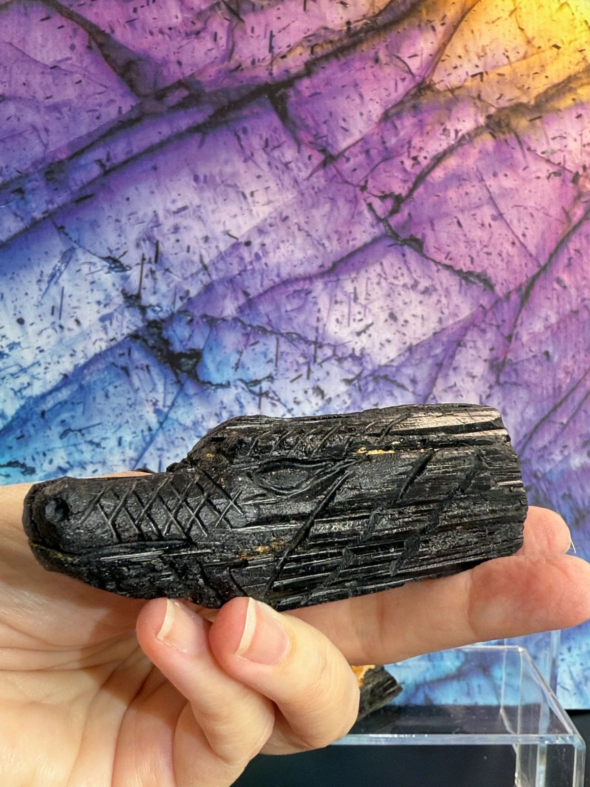 Black Tourmaline Dragons Collection