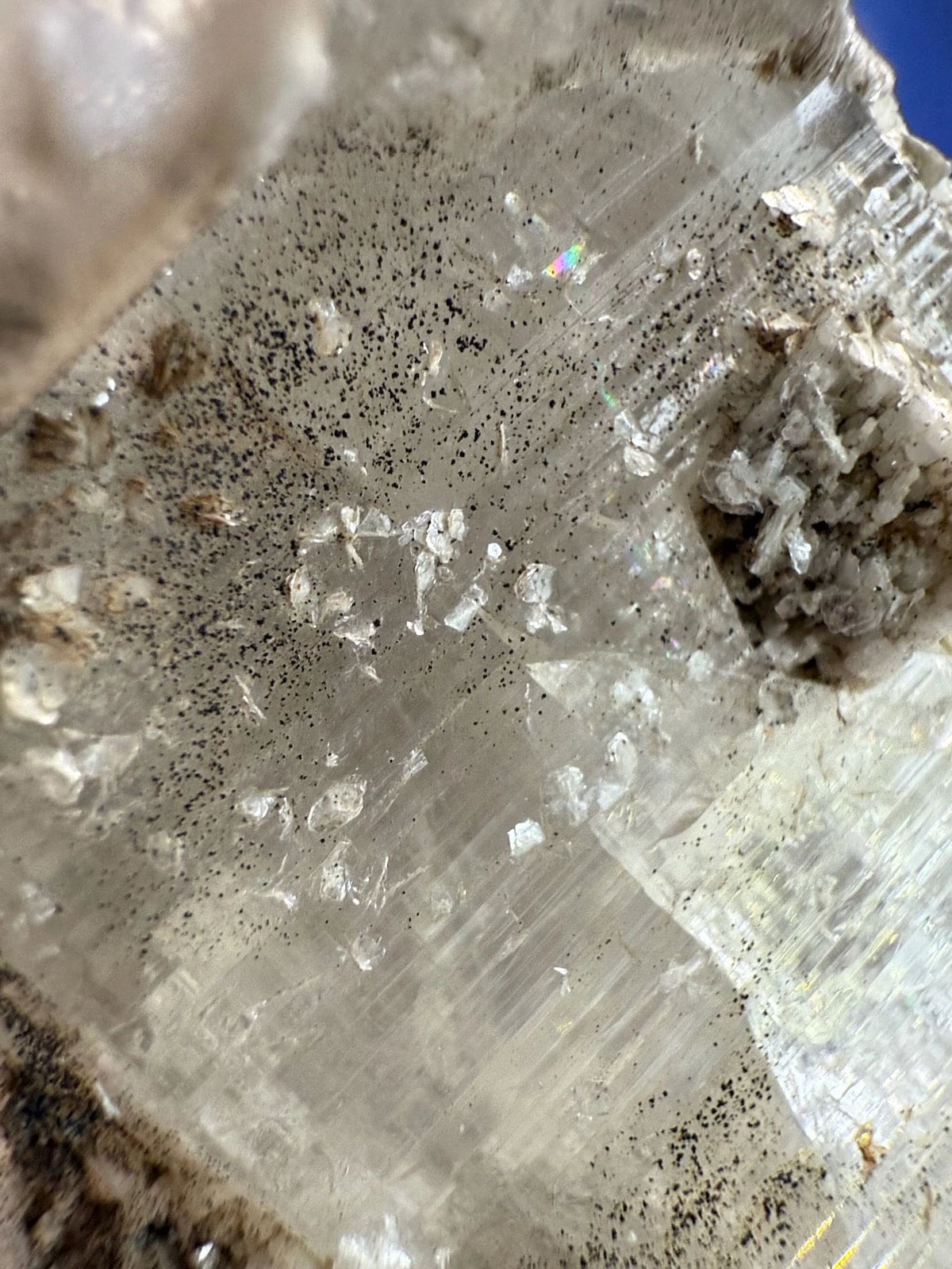 Clear Quartz with Black Tourmaline