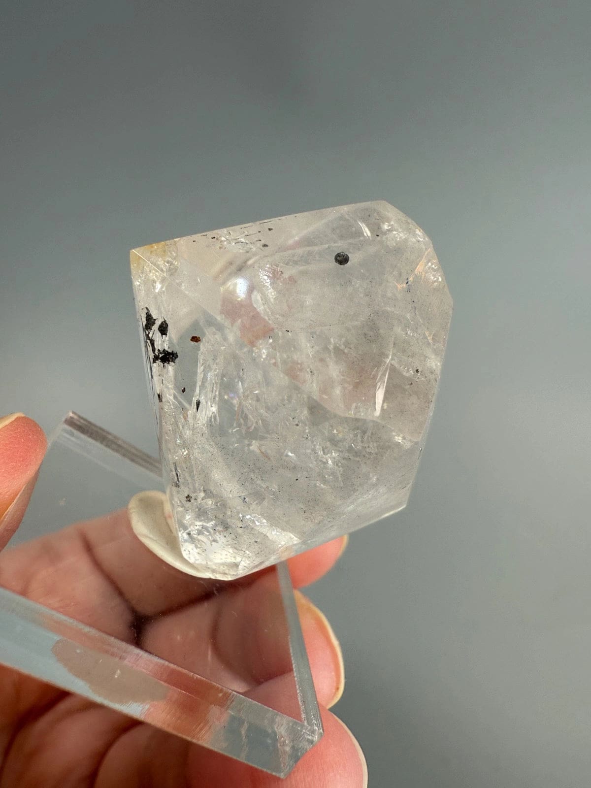 Double Terminated Enhydro Quartz D
