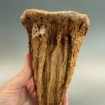 Incredible Hollow Stalagmite