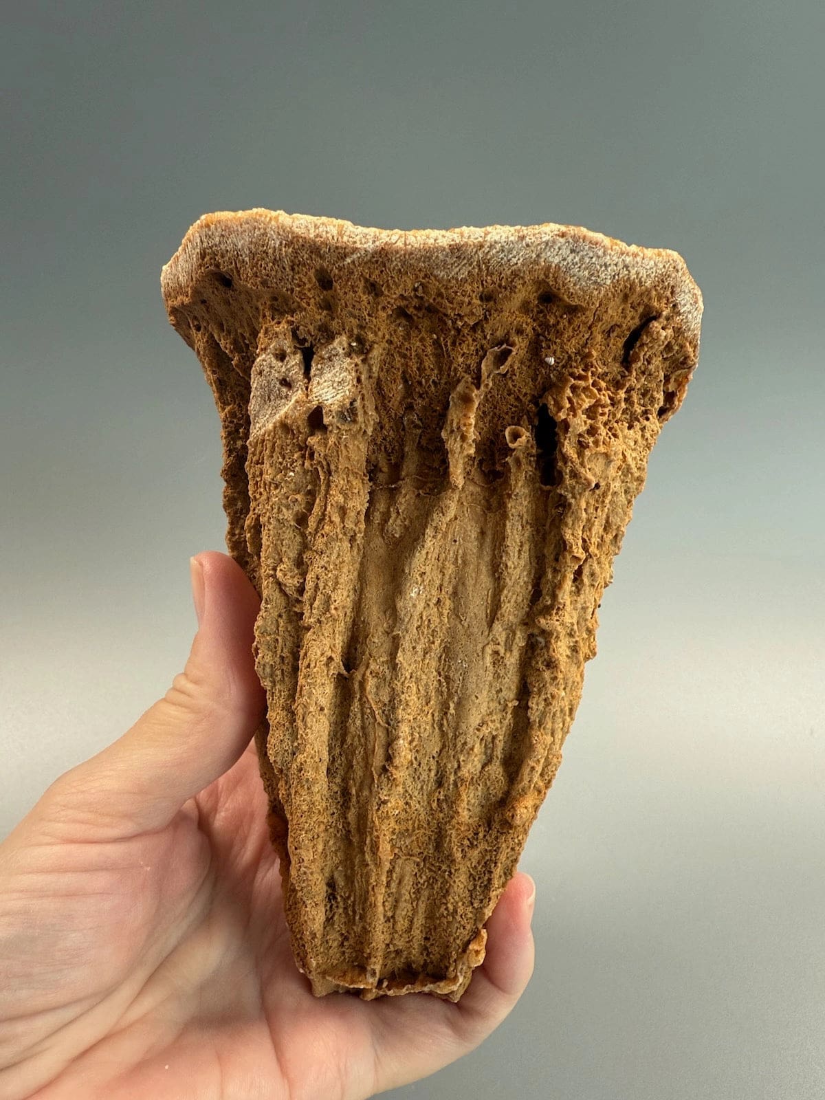 Incredible Hollow Stalagmite