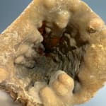 Incredible Hollow Stalagmite
