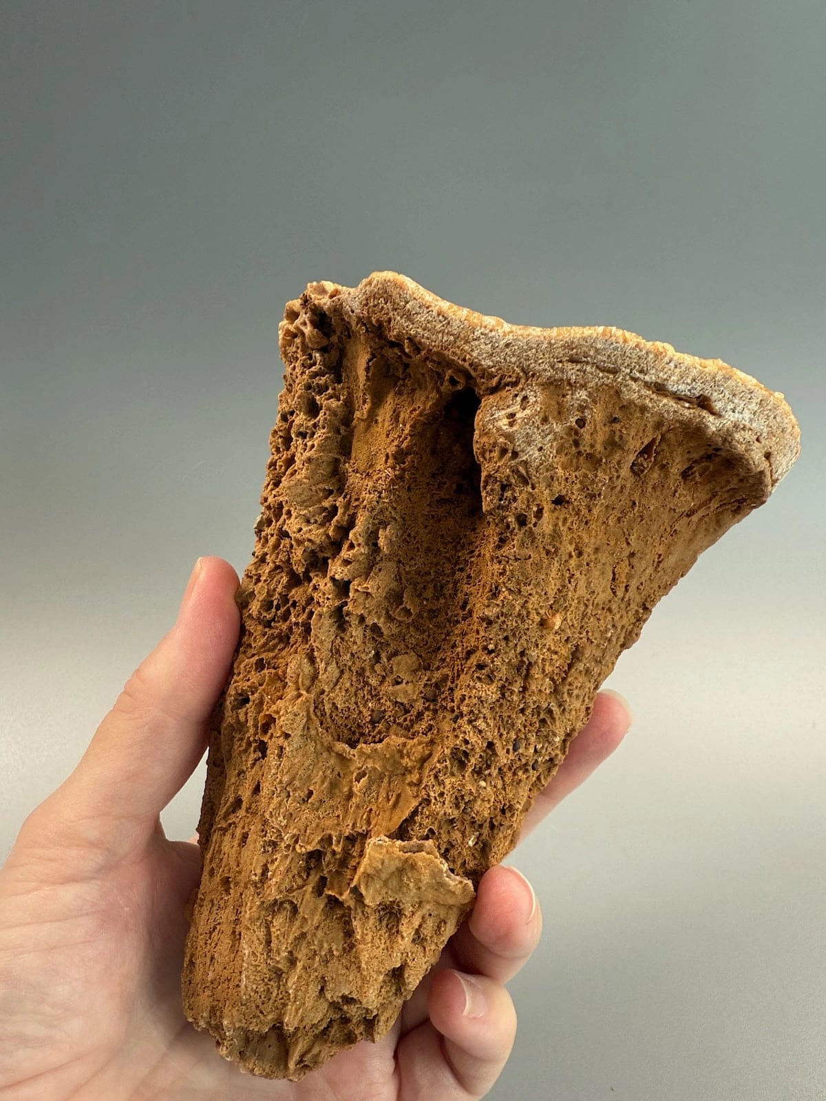 Incredible Hollow Stalagmite