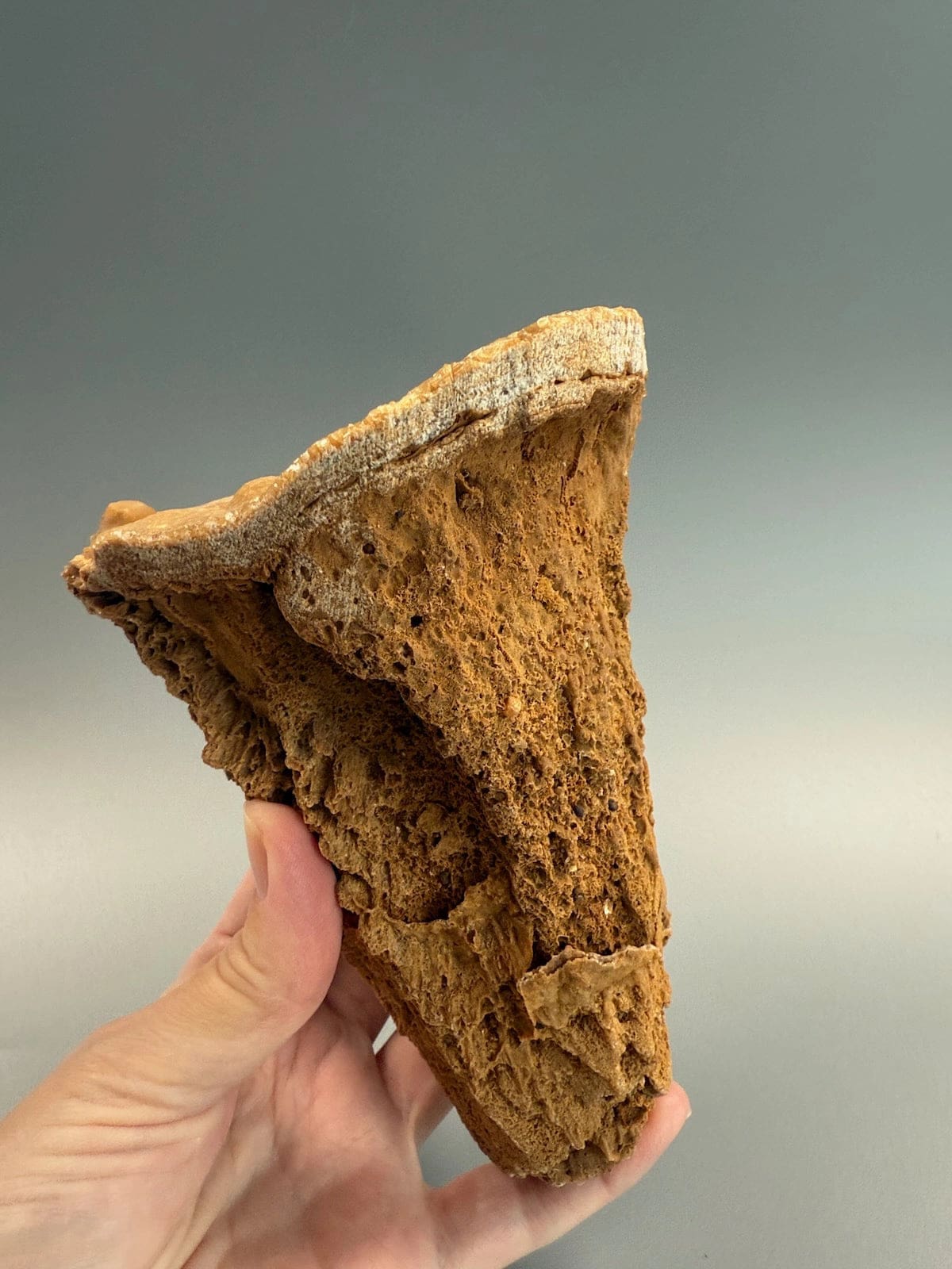 Incredible Hollow Stalagmite