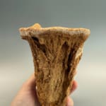 Incredible Hollow Stalagmite