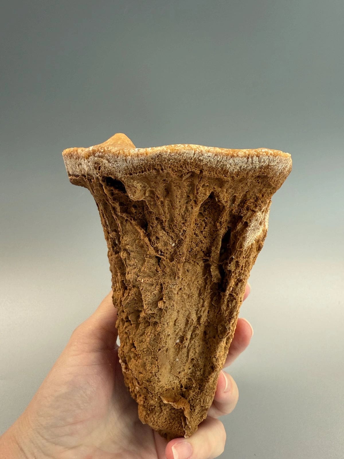 Incredible Hollow Stalagmite