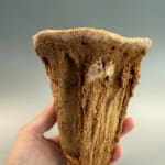 Incredible Hollow Stalagmite