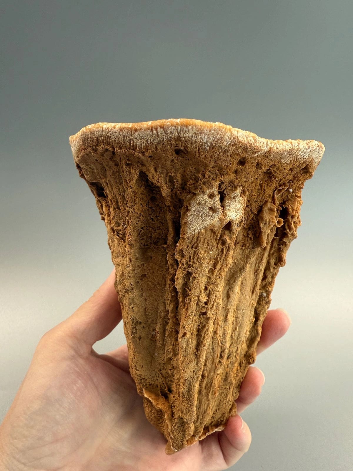 Incredible Hollow Stalagmite