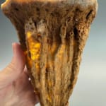 Incredible Hollow Stalagmite