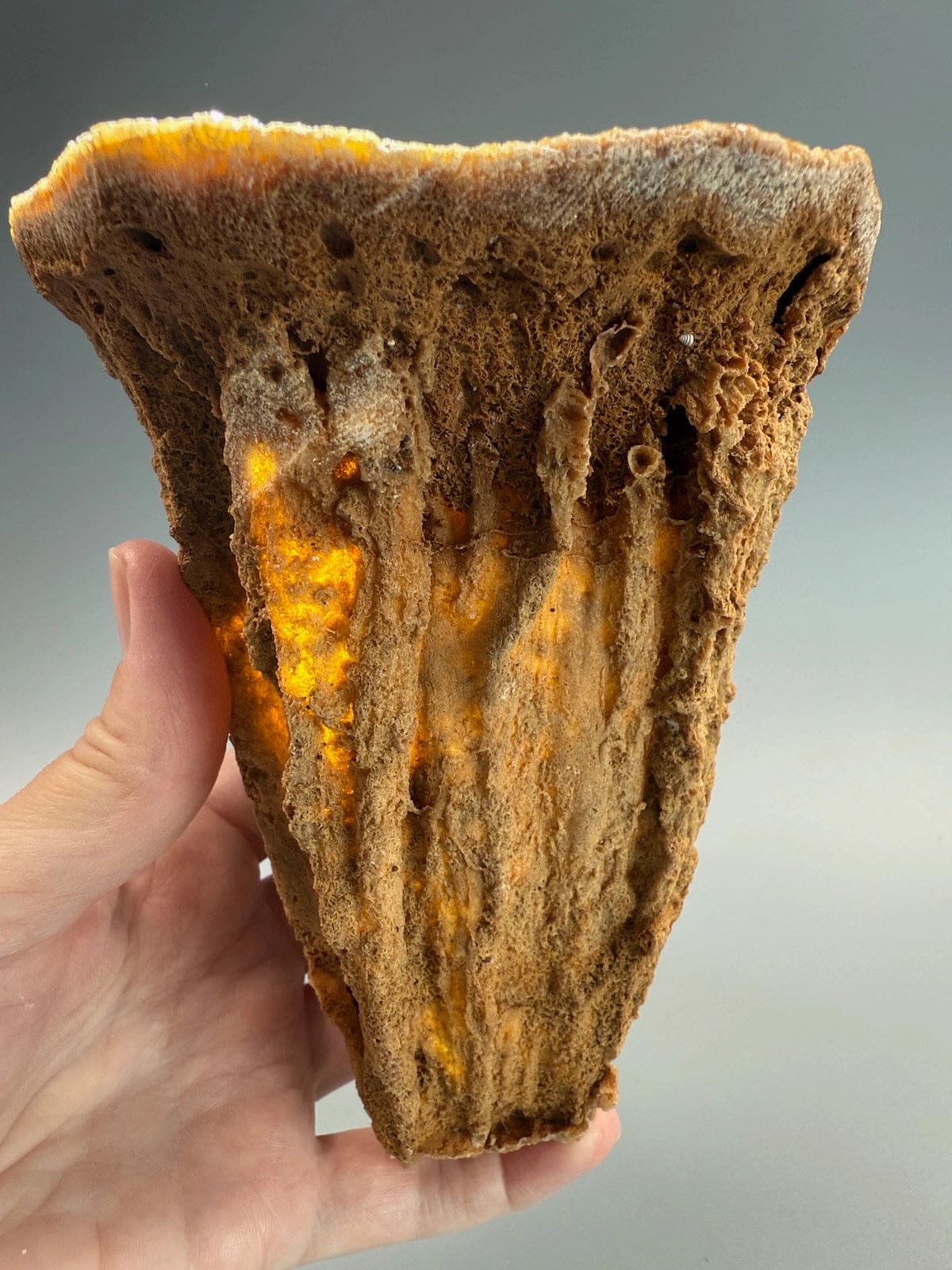 Incredible Hollow Stalagmite