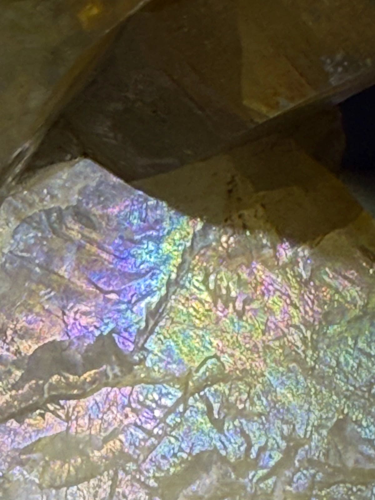 Large Golden Healer Quartz