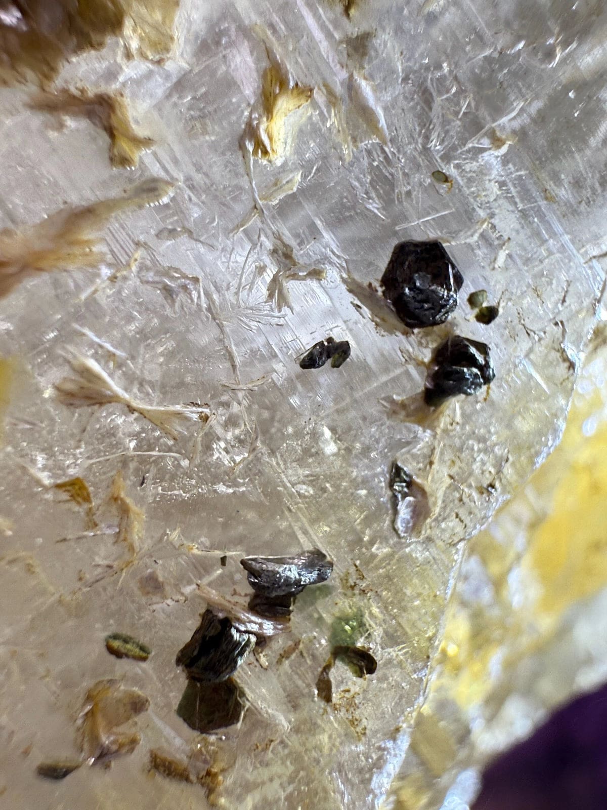 Large Golden Healer Quartz