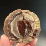 Mezezo Chocolate Opal