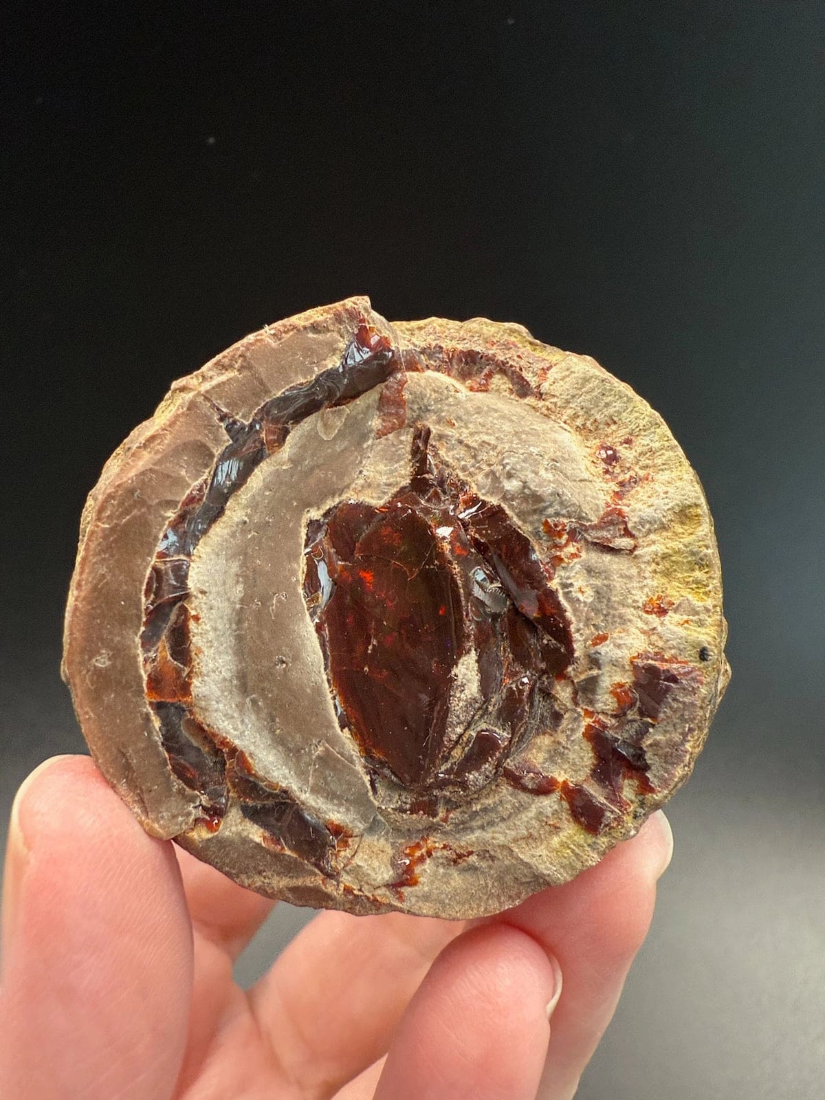Mezezo Chocolate Opal